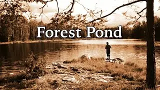 Fishing For Pike In A Forest Pond