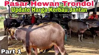 PART 1 ! Terbaru Update Harga Kerbau Jantan,Pasar Hewan Trondol,Kota Serang Banten