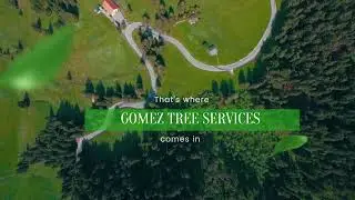 INFOMERCIAL GOMEZ TREE SERVICES