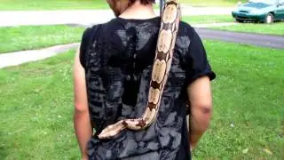 lil Will handling Big Mama