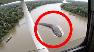 Bush Pilots Spot a Massive Anaconda in the Amazon River AI