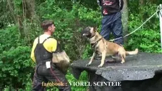 Viorel Scinteie \Schutzhund Seminar in Germany , SV OG Filstal !!!