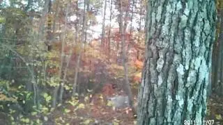 Will Sniper Battle