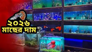 দোকানের মাছের বর্তমান দাম ! একুরিয়ামের জন্য মাছ কিনলাম | Aquarium Fish Price in BD 2026