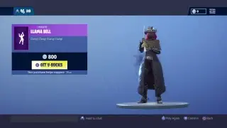 Pro fortnite player 400+  wins