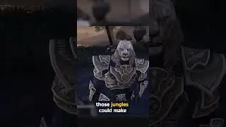 Khajiit Nostalgia in Grahtwood 🌿 | Zerith-var Remembers Redfur