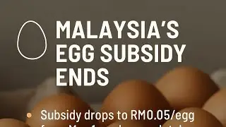 Malaysia's Egg Subsidy Ends: What You Need to Know!