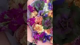 Designer's choice