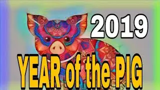 YEAR of the Pig 2019 Earth Pig, A year of joy, friendship, love TRAVEL & MIRACLES Chinese New Year