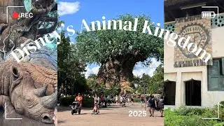 Animal Kingdom Walkthrough | Sights & Sound | Walt Disney World 2025 | 4K