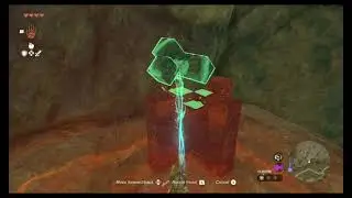 Zelda TOTK Korok Puzzle near Tabantha Frontier