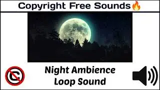 Night Ambience Loop Sound / Popular Nature Sounds / #nocopyright  / [Copyright Free Ambient Sounds]