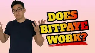 Bitpaye Review - How Much Can You Earn From This Crypto PTC Website?