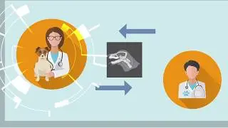 Keystone Community | DICOM Image Viewer | Veterinary Image Management Software
