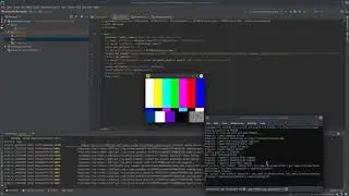 Rust Streams H.264 Video After Reading it from Shared Memory