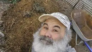 12th aerobic compost heap of my peasant career!