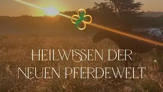 Deine Seelenmission als Pferdemensch