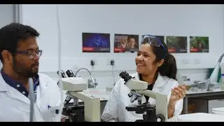 Study Science in New Zealand at the University of Canterbury