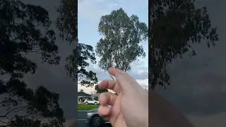 A hand, moving cars, beneath a moon