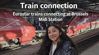 How to Catch Your Eurostar Train at Brussels Midi Without Missing Connections
