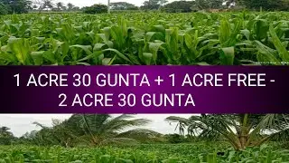 lb)1#Acre#30#Gunta#Extra#1Acre#Free#Land // Subramanya m r // subscribe me //@SurabhiProperties
