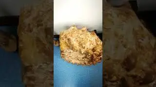 #ammonite loc. Madagascar pesa 54 kg