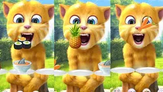 🔔😼 Ginger Hears a Noise and Spins Around! 🎧👂