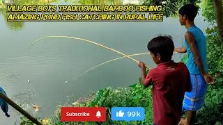 Village Boys Traditional Bamboo Fishing | Amazing Pond Fish Catching in Rural Life