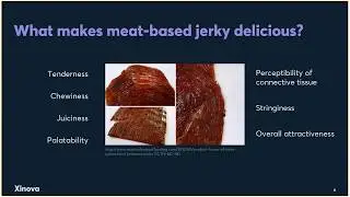 Webinar: Flavoring Plant-Protein Jerky