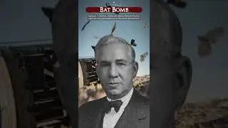 Bat Bomb #shorts #fyp #batbomb #WWIIWeapons #military #tactical #warfare #japan #usa #WW2 #war