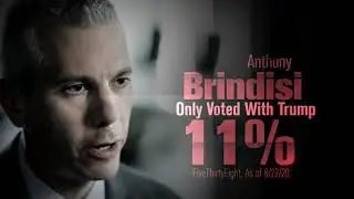Anthony Brindisi, Willing to Reach (NY-22)