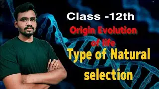 Type of Natural selection | Origin Evolution of life | Mechanism of organic evolution | Avinash sir