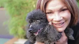 Blind Jemma's Story - RSPCA Qld