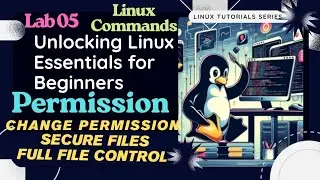 File Permissions Explained | How to View & Change Permissions in Linux