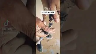 #surahmulk# talawat# panal repairing and troubleshoot