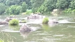 SUM RIVER