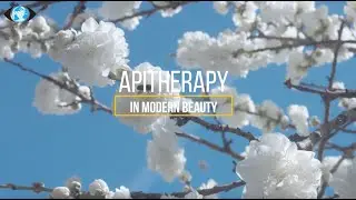 Apitherapy in Modern Beauty | Everything you need to know about Beetox | Apitherapy in San Diego, CA
