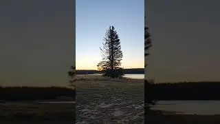 Grand Mesa #shorts #camping #colorado colorado