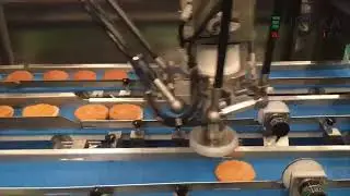 Eureka 2 Yaskawa Delta robot pick and place