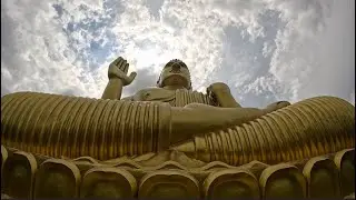 Serugala Statue of Lord Buddha in 4K | Majestic Serenity in the Heart of Nature | NewbieAction