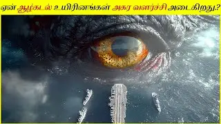பயங்கரமான அரக்கர்களை உருவாக்கும் ஆழ்கடல்.!! Why Do Deep Sea Creatures Evolve Into Giants? Deep Ocean