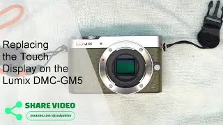 Lumix GM5 Display Replacement