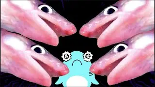 【深海魚のアニメ】深海の生き物の漁師体験をするサメニンジャー！