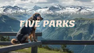 Pet Paradise: The Top 5 Dog-Friendly National Parks