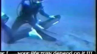Scuba Funny Videos - Best of NSDA - part 2