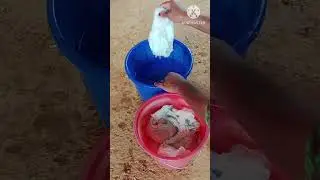 how to dispose used pampers