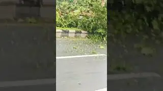 How to cut trees on the road in Indonesia