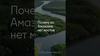 Амазонка &mdash; самая длинная река в мире, но мостов через нее нет #неочевидные_факты