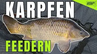 Karpfen mit dem Method Feeder | Allround-Angeln mit der Feeder-Rute