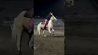 #nsca #omoksee #horse #rodeo #horseshow #western #westernriding #aqha #youtubeshorts #subscribe